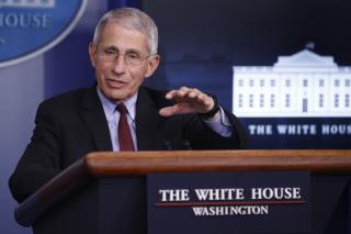 Fauci: Half of Those Infected May Have No Symptoms
