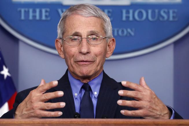Fauci: These Protests Might Backfire