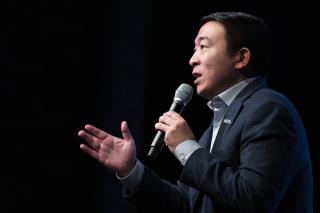 Andrew Yang Sues Over New York Primary