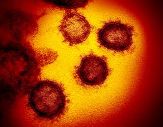 New Strain of Coronavirus Is Possibly More Contagious