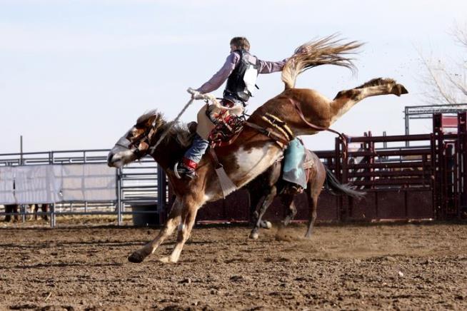Rodeo Delays County's Plans to Reopen