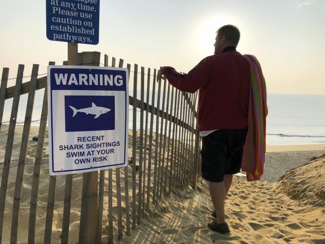Cape Cod Issues Shark Warning Ahead of July 4th