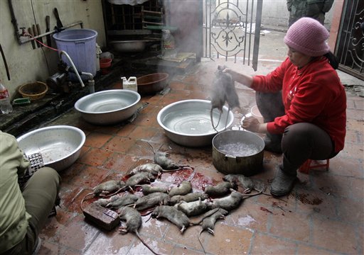 Cambodia's Food Crisis Fix? Eat Rats