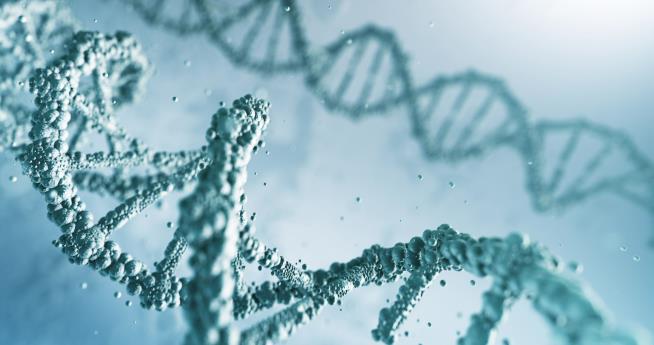 DNA Slavery Study Yields Suprises