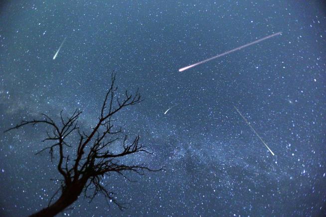Goodbye, Neowise Comet. Hello, Meteor Showers