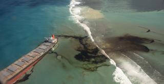 Mauritius Scrambles to Prevent Environmental Disaster