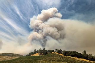 Wine Country Battles a Series of Threats