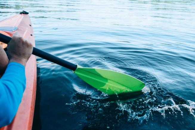 A Kayaker Fell Into the Lake. You'll Never Guess Who Saved Him