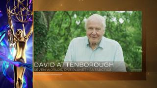 David Attenborough Joins Instagram, Smashes a Record