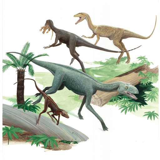 Dinos Coexisted With Precursors