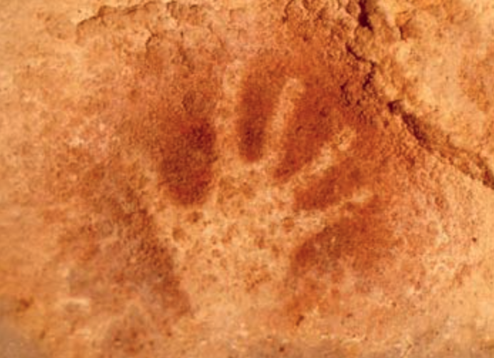 We Don't Use Our Thumbs the Way Neanderthals Did - Newser
