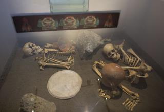 Anthropologists Recount Grisly Tale of Conquistador Era
