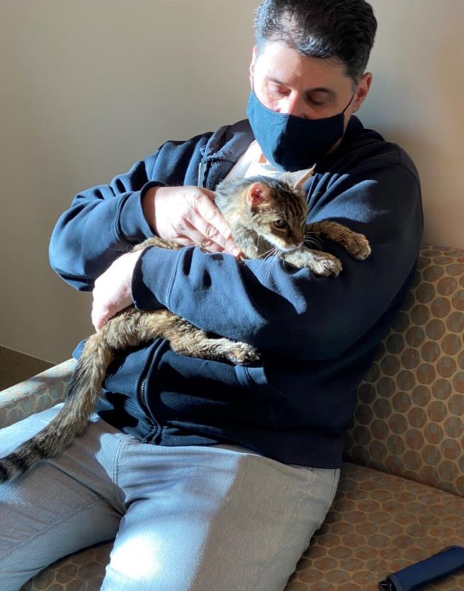 Cat Is Returned to Owner After 15 Years