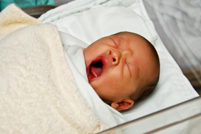 Baby Boom? Instead, We're Getting a Pandemic Baby Bust