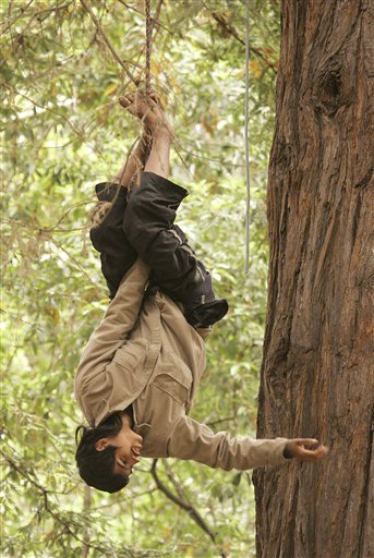 UCSC Tree-Sitters Hold Their Perches