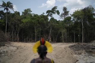 Brazil to US: Pay Us $1B to Protect Amazon