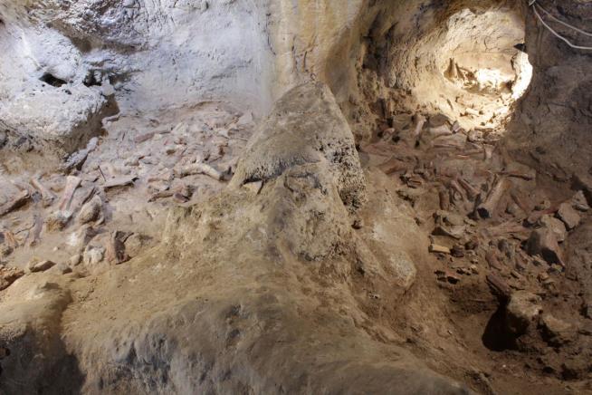 Remains of 9 Neanderthals Found, an 'Extraordinary Discovery'