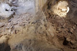 Remains of 9 Neanderthals Found, an 'Extraordinary Discovery'