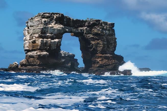Darwin's Arch Loses Its Top