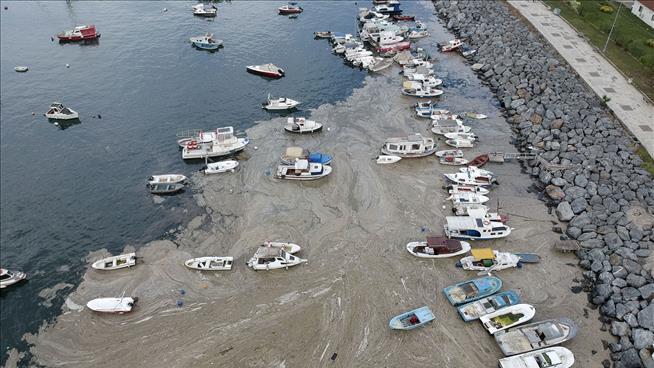 Turkey Is Battling a 'Sea Snot' Problem