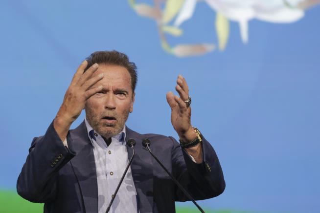 Schwarzenegger Has Choice Words for Anti-Maskers