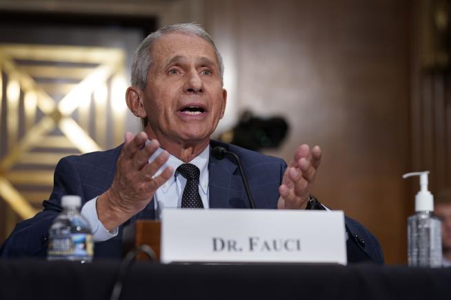 Fauci Predicts Our Return to Normal