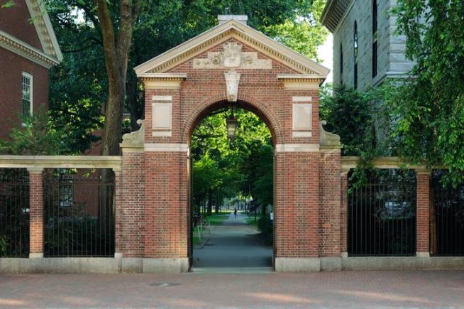 Harvard's New Chief Chaplain Is an Atheist