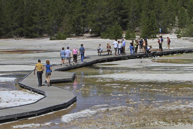 Woman Gets Week in Jail for Walking on Yellowstone Feature