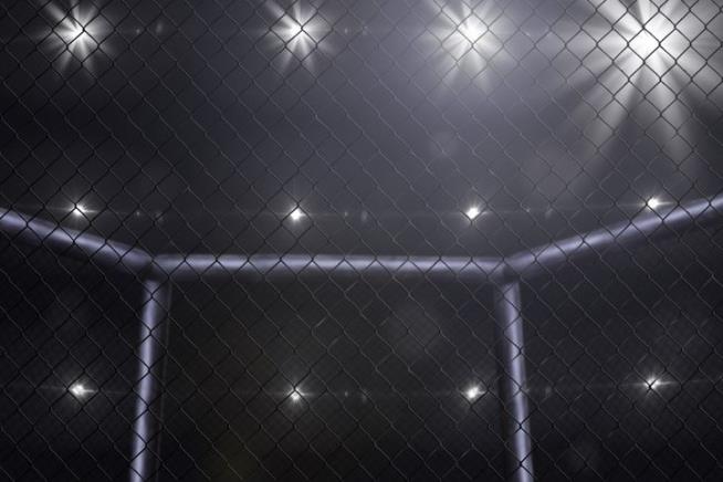 MMA Fighter Dies Weeks After Knockout