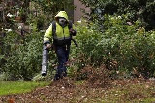 Leaf Blowers Are Multipronged Threat to Health and Environment