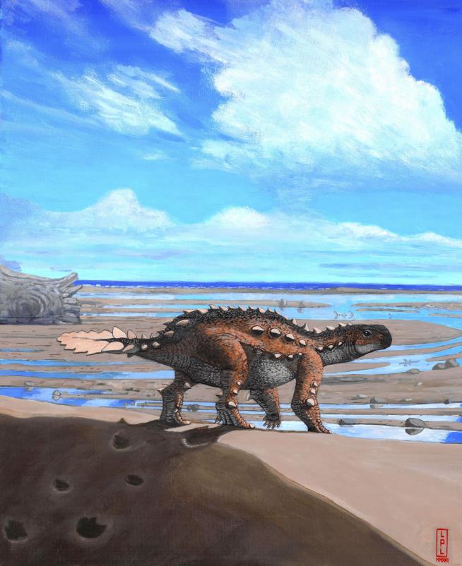 This Dino Species Has 'Something Never Seen Before'