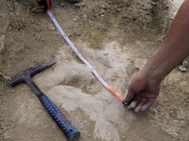 Ancient Footprints Point to Speedy 2-Legged Dinosaurs