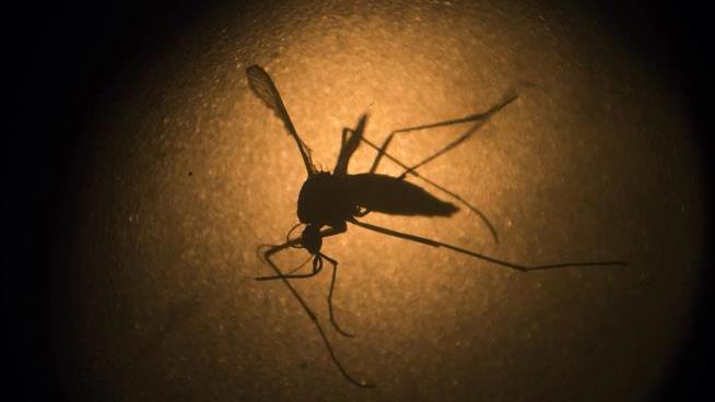 Study Follows Long-Term Effects of Zika on Children
