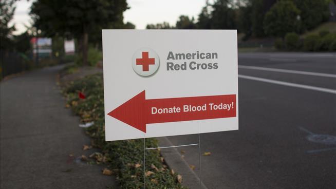 American Red Cross Workers Say Their Pay Is an Insult