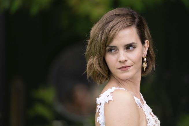 Harry Potter Reunion Confuses Emma Watson, Emma Roberts