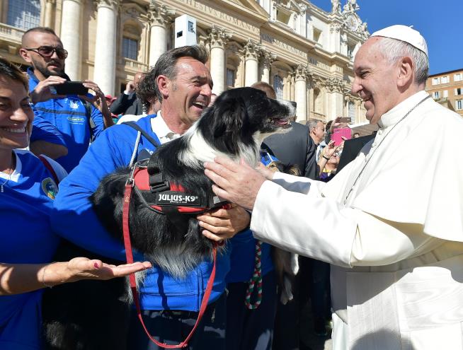 Pope: Having Pets Instead of Kids Is 'Selfish'