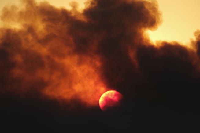 Californians, Welcome to the 'Trans-Apocalypse'