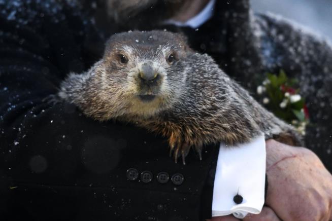 Punxsutawney Phil Makes His Official Call