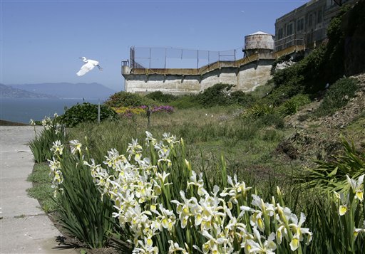 Alcatraz Garden Blooms Despite Years of Neglect