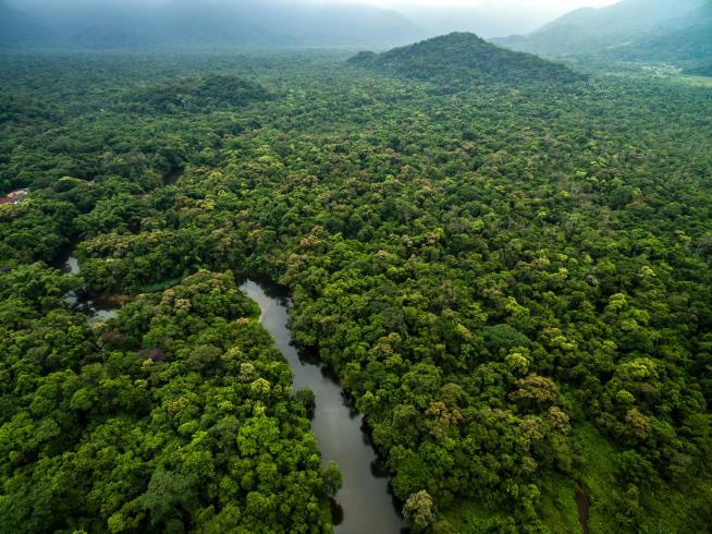 Amazon Rainforest May Need a New Name