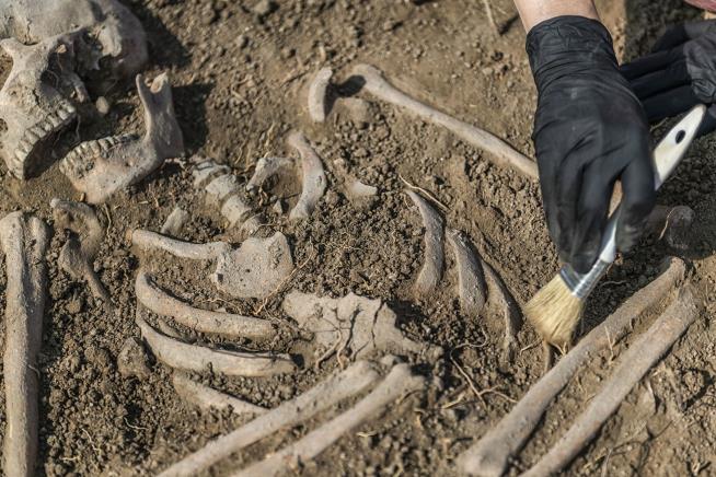 Mass Grave in Netherlands Is Full of Brits