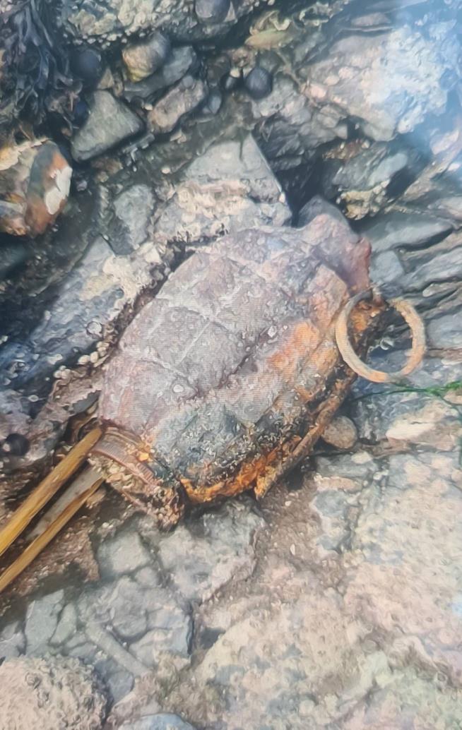 KId Finds Live WWI Grenade on Beach