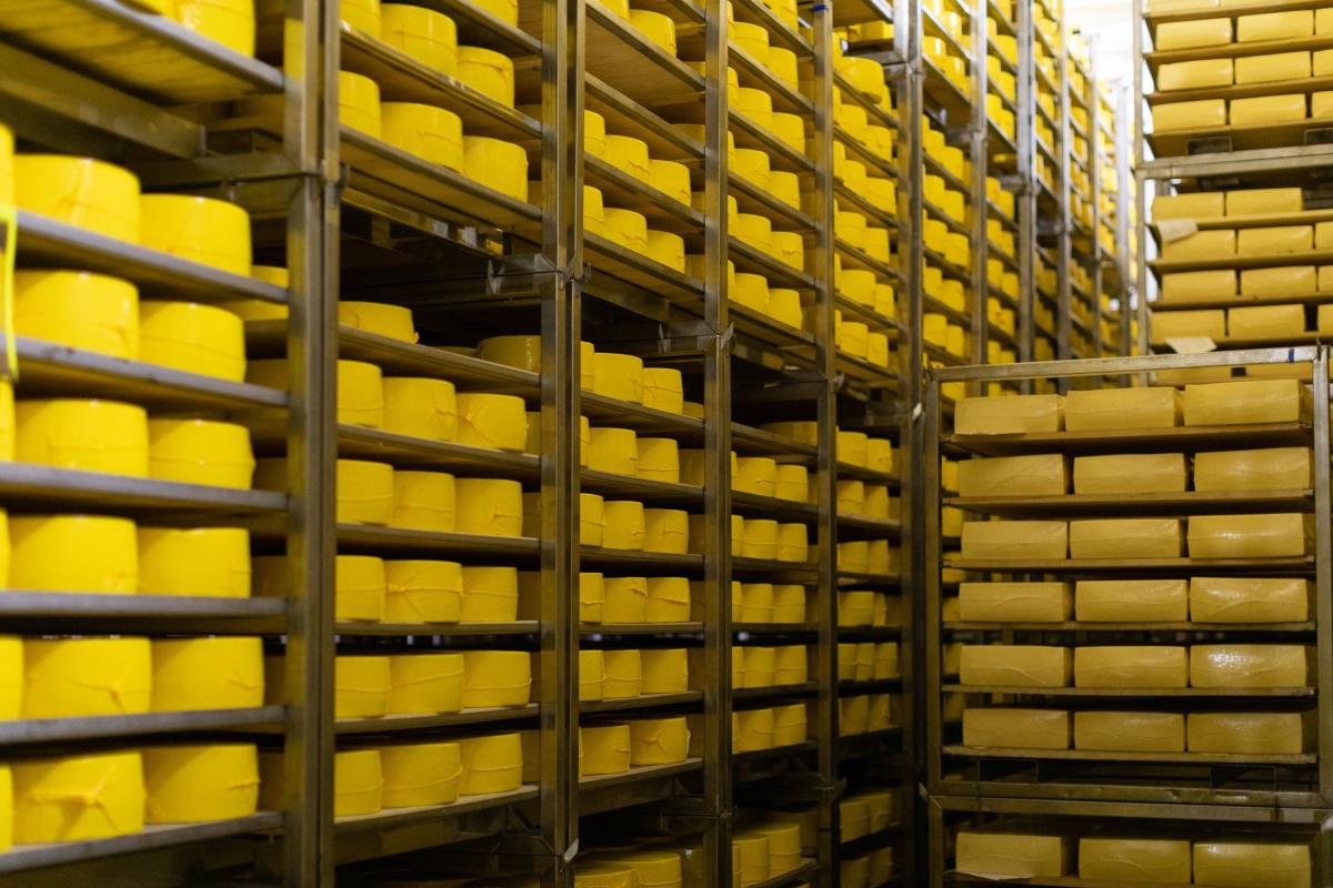 The Bulk Cheese Warehouse - The Cheese Case is nice and full