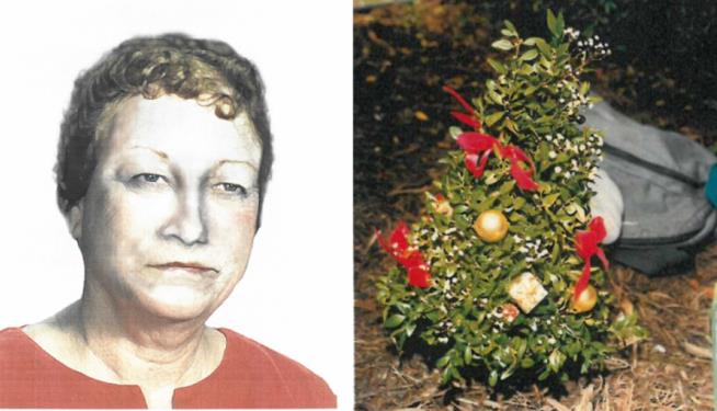 'Christmas Tree Lady' IDed 25 Years After Body Was Found in Cemetery