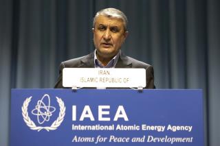 Iran's Nuke Chief Makes 'Rare' Claim on Atomic Bomb