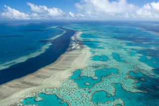 For Great Barrier Reef, Some Rare Good News