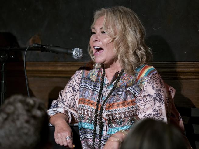 Roseanne Barr Is Returning to TV