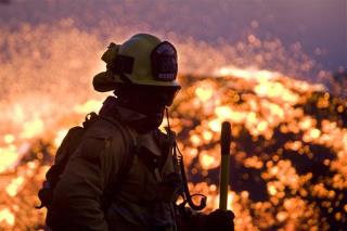 Emergency Declared as Fires Lash LA Homes