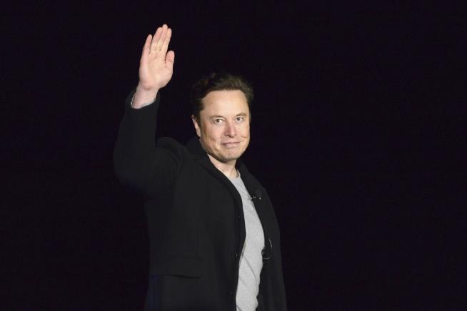 Elon Musk Says Twitter Users Can Decide His Fate as CEO