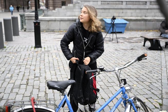 Greta Thunberg Zings Influencer Proud of Emissions